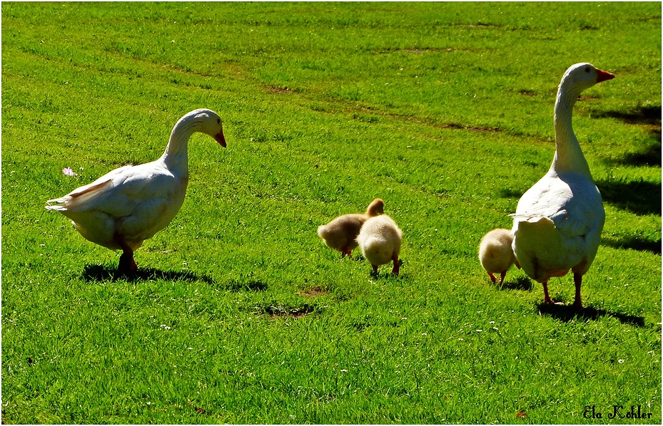 Familienausflug