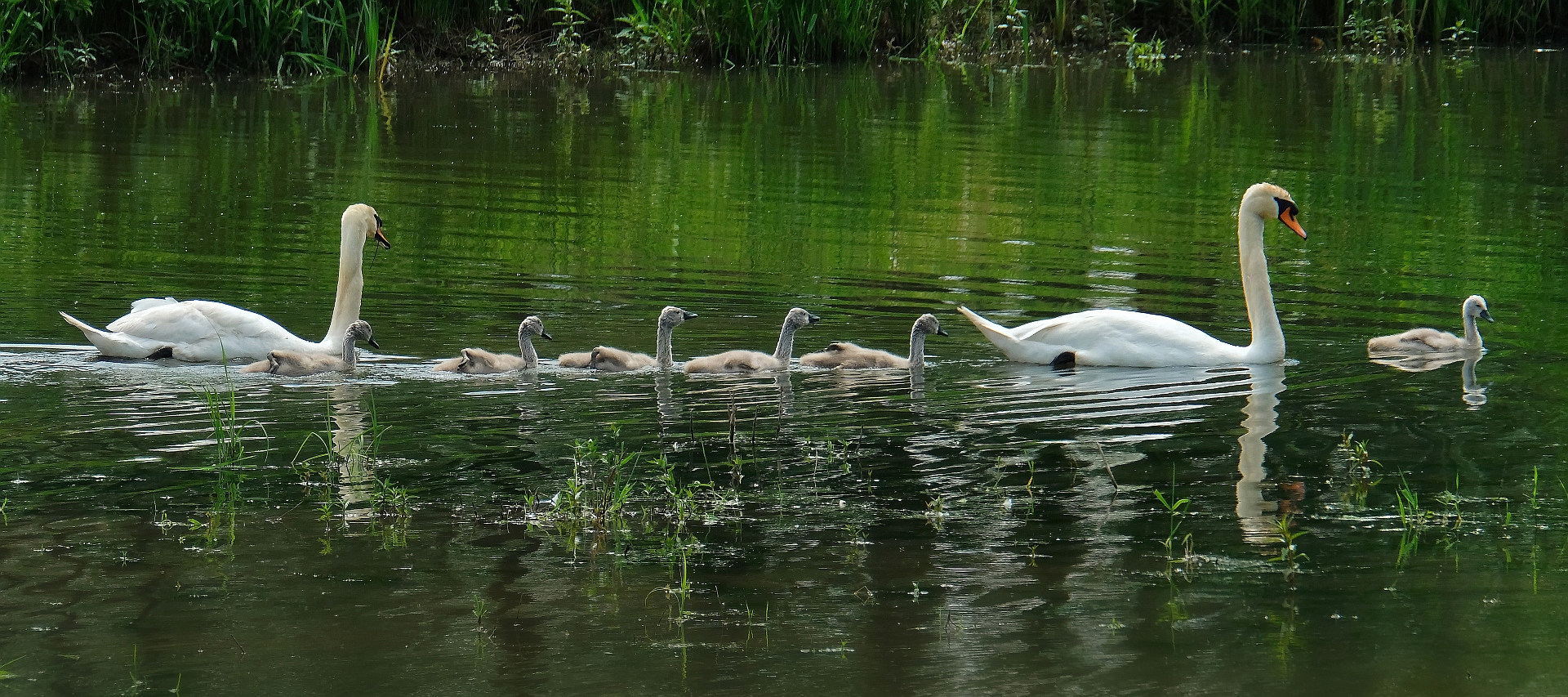 Familienausflug