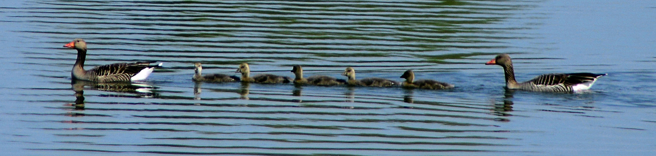 Familienausflug