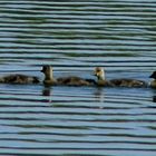 Familienausflug