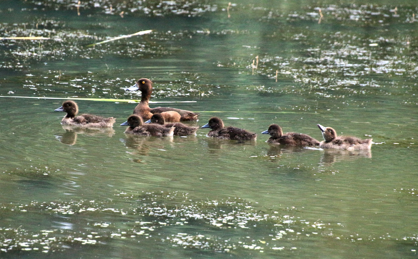 Familienausflug