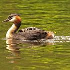 -Familienausflug-