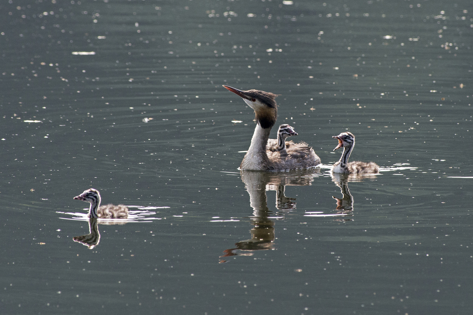 Familienausflug