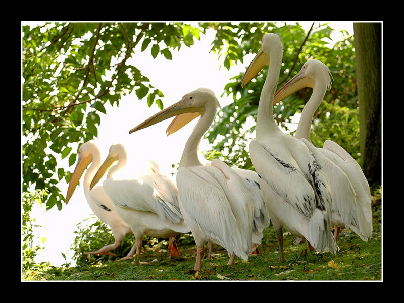 Familienausflug...