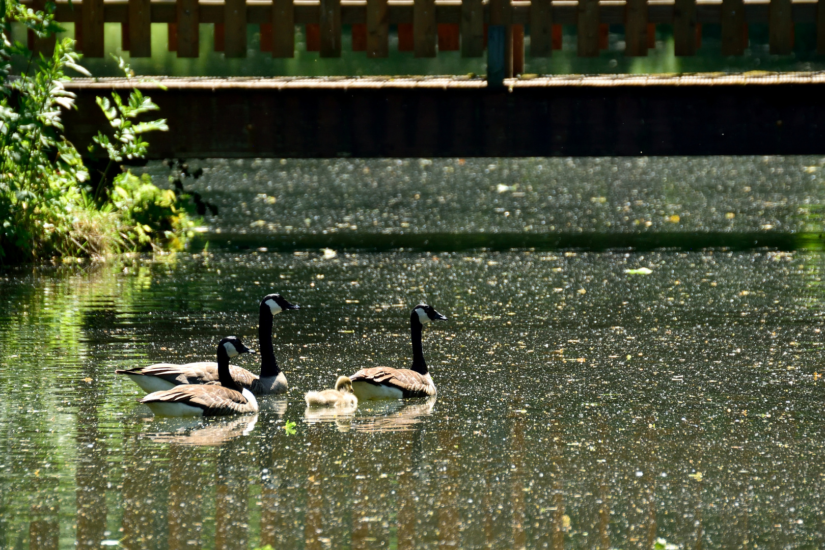 Familienausflug