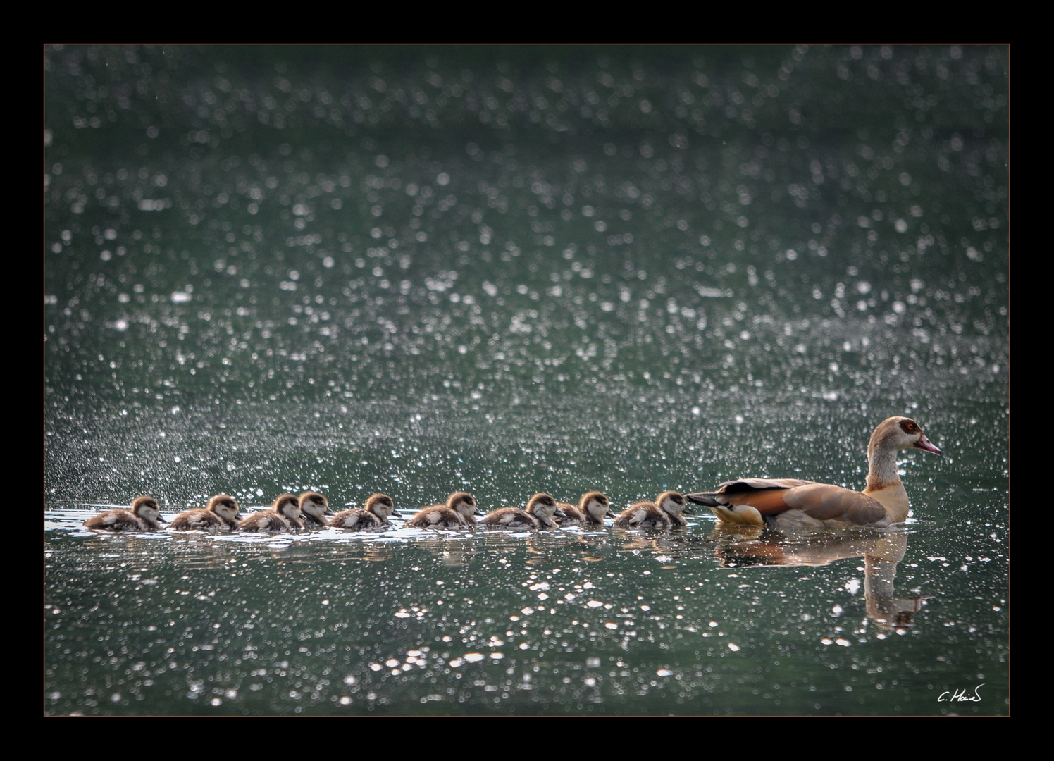 Familienausflug