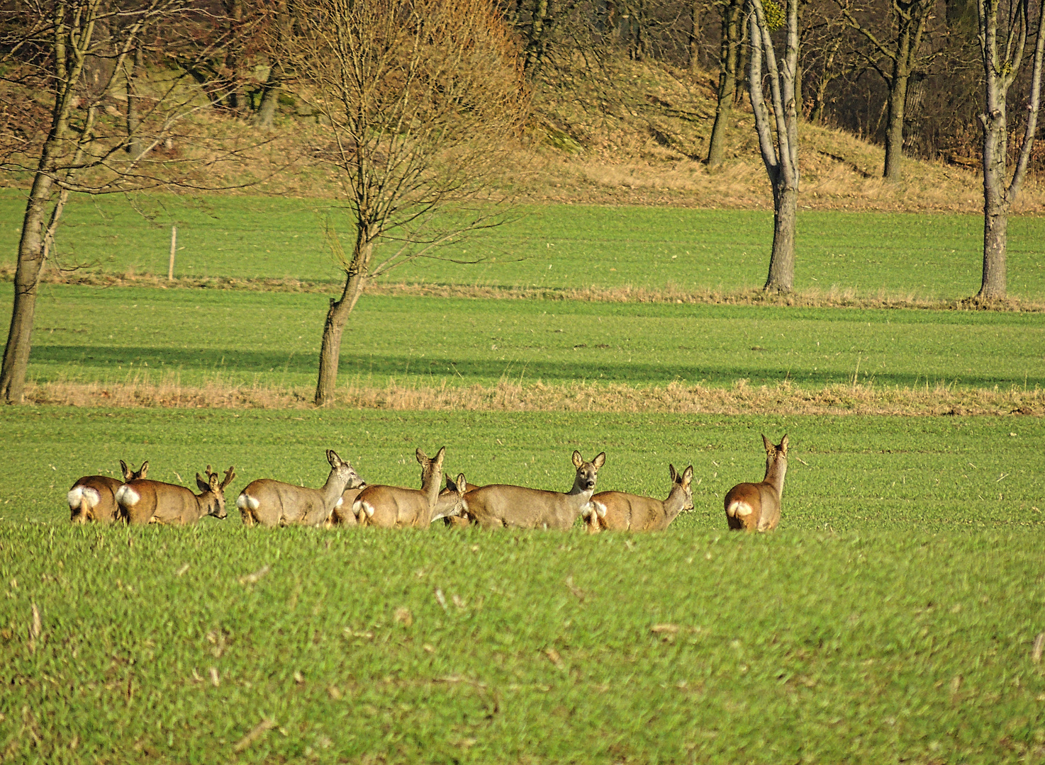 Familienausflug