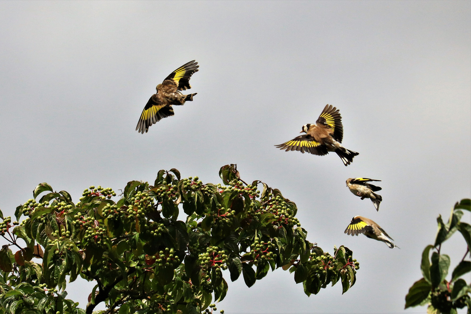 Familienausflug