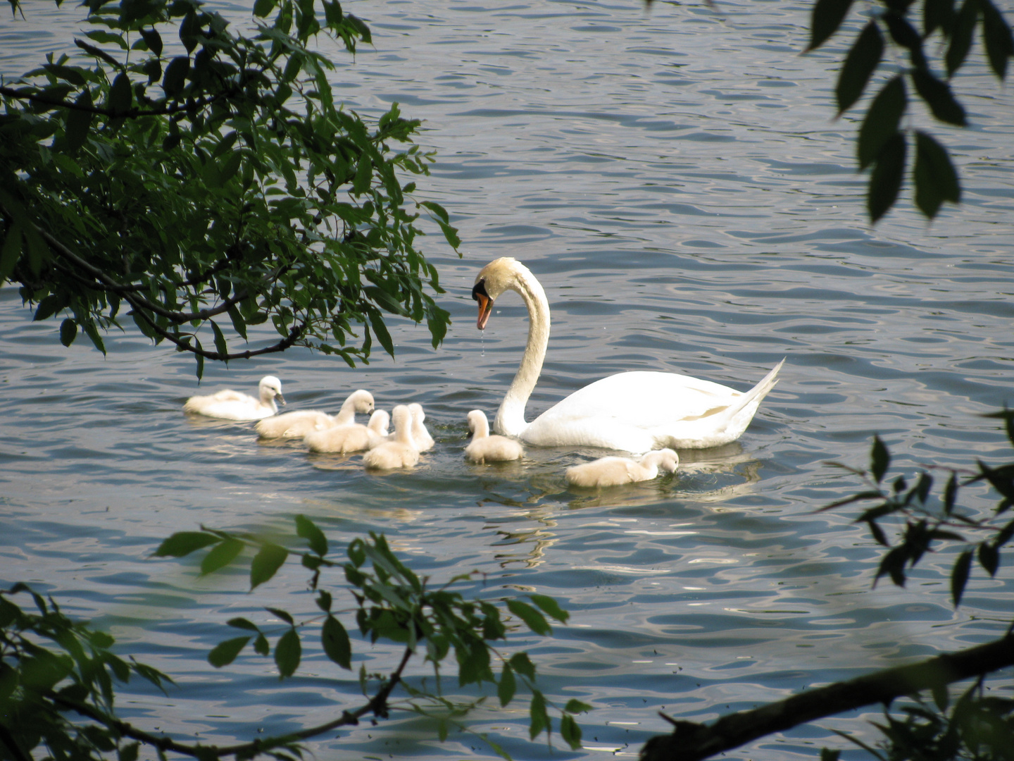 Familienausflug...