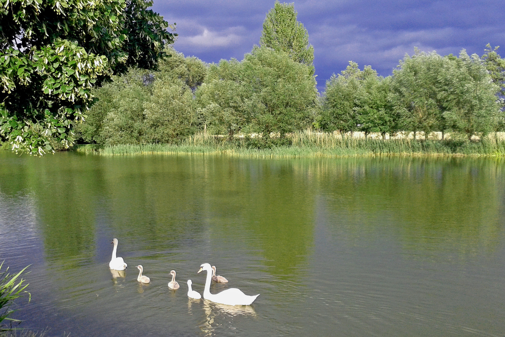 Familienausflug