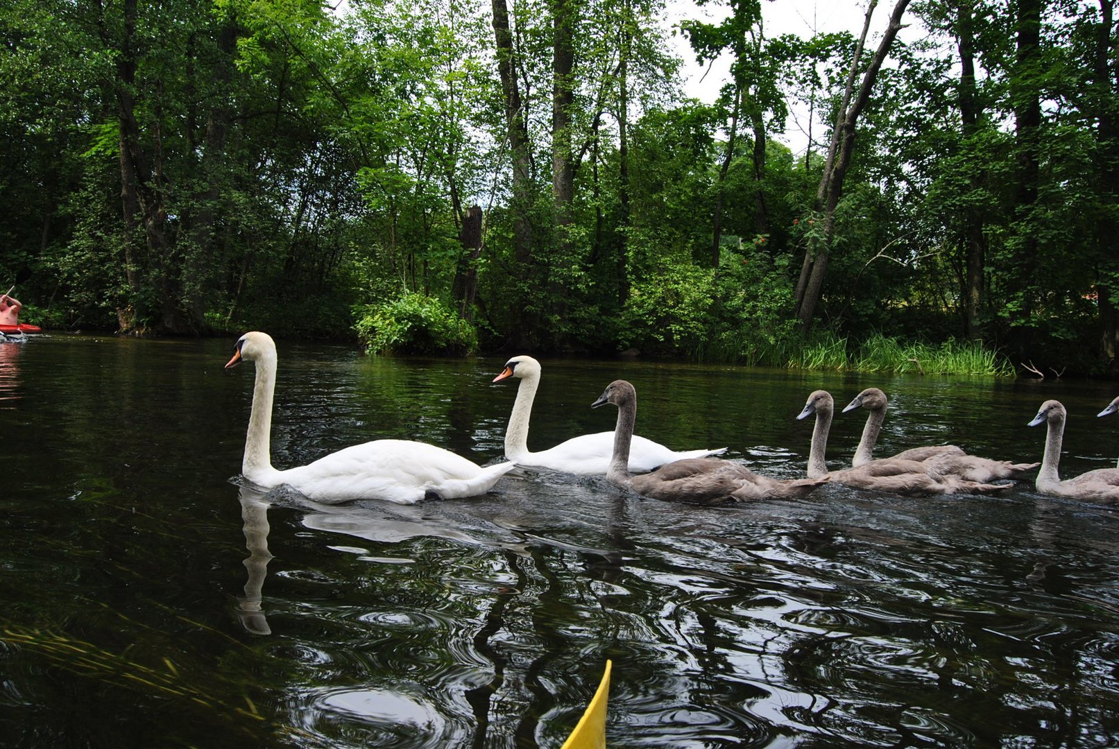 Familienausflug