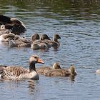 Familienausflug......