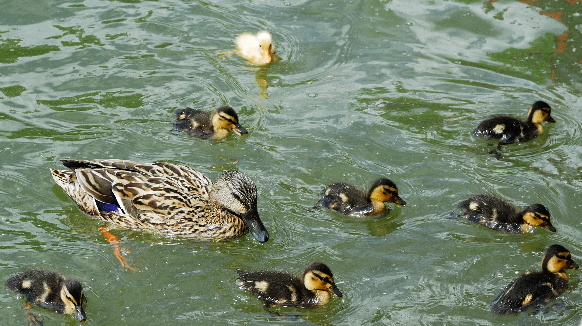 Familienausflug.......