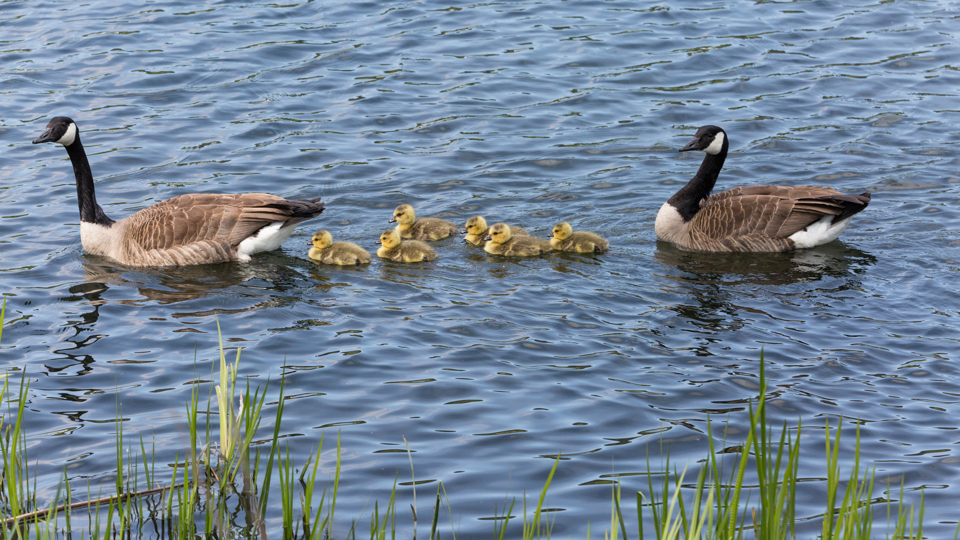 Familienausflug