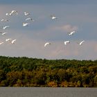 Familienausflug