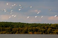 Familienausflug