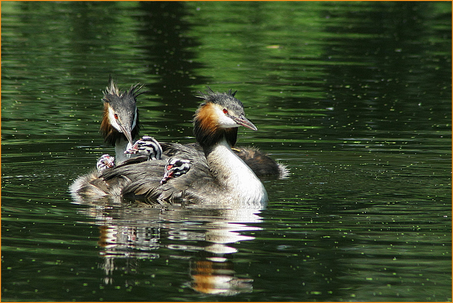 Familienausflug