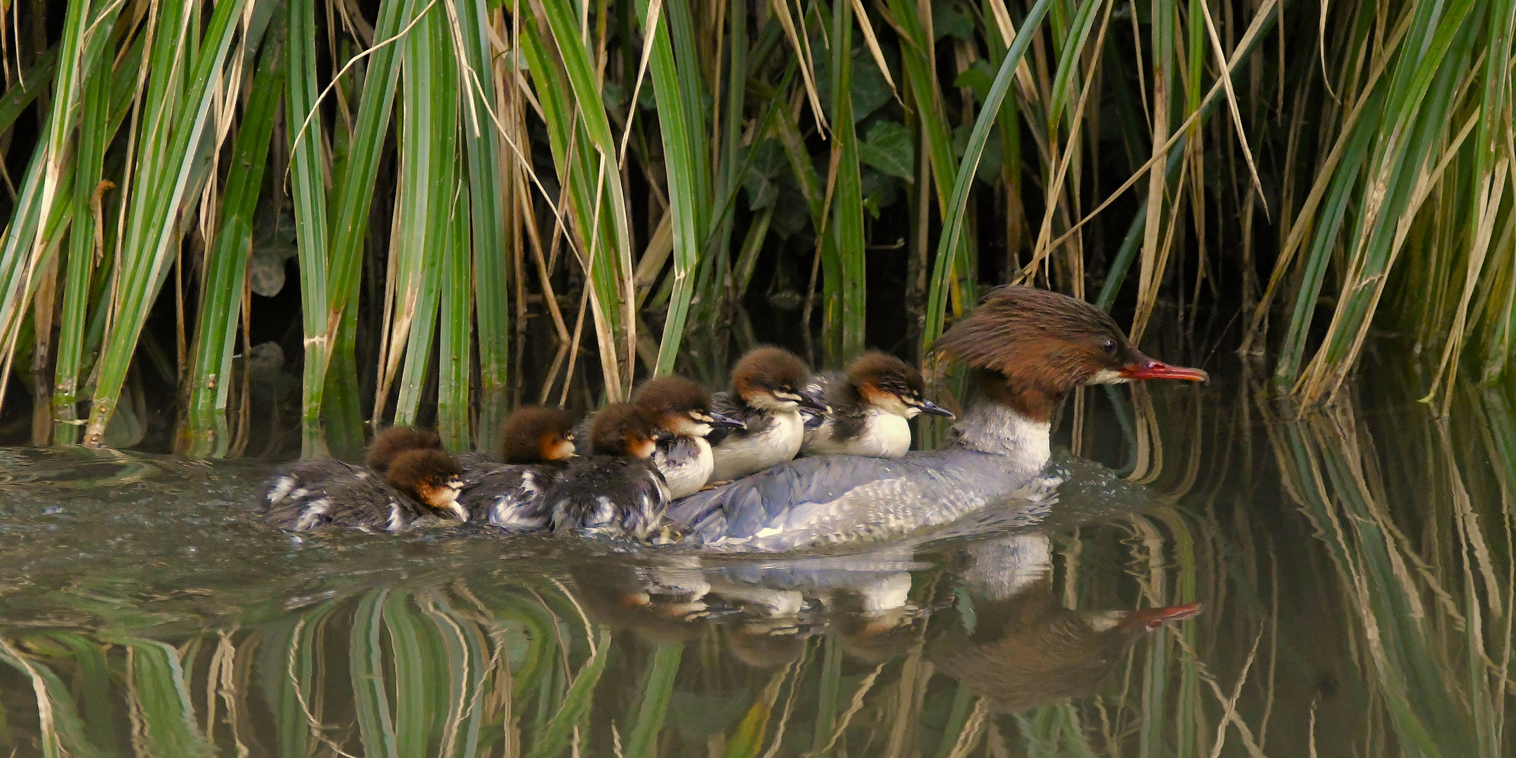 Familienausflug