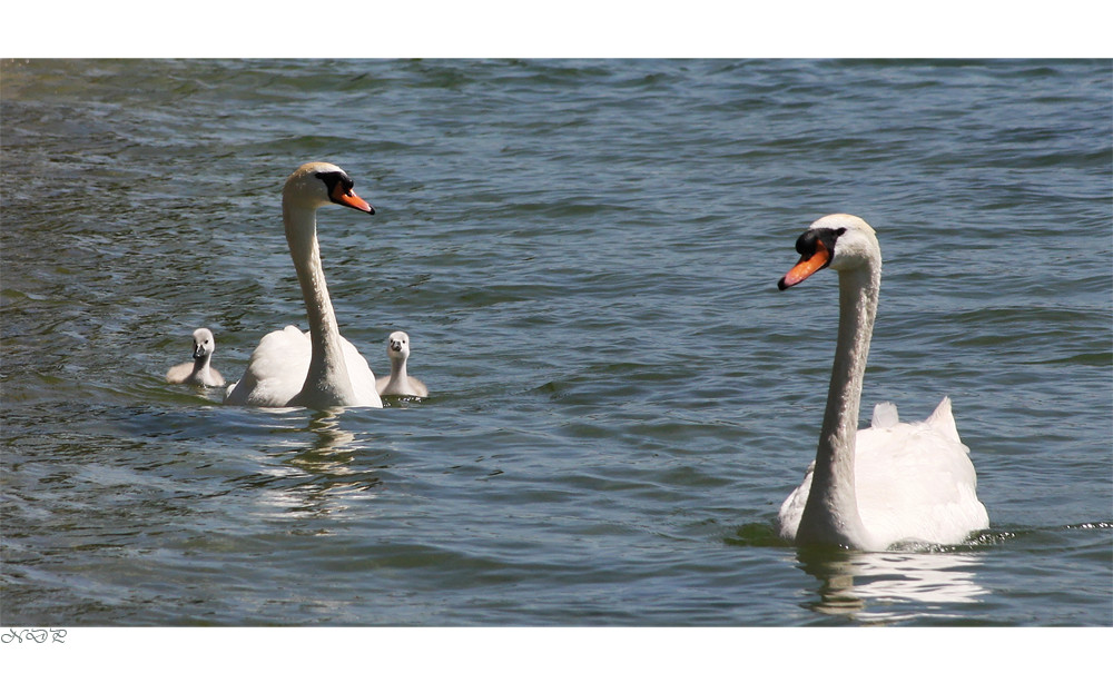 Familienausflug