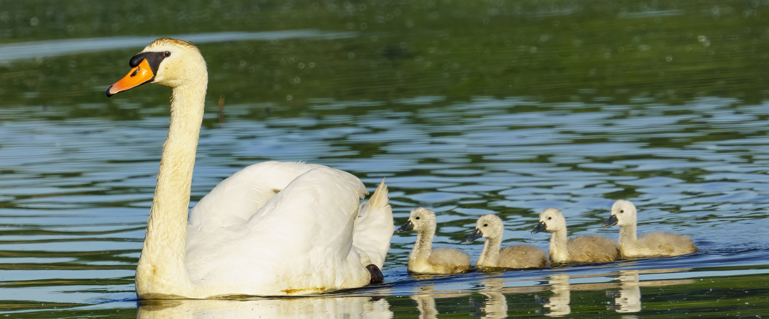 Familienausflug