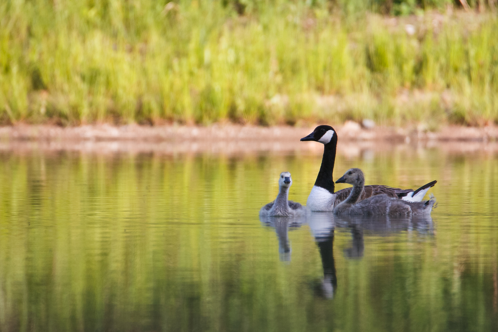 Familienausflug!