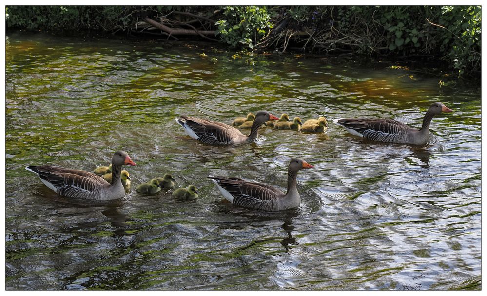 Familienausflug