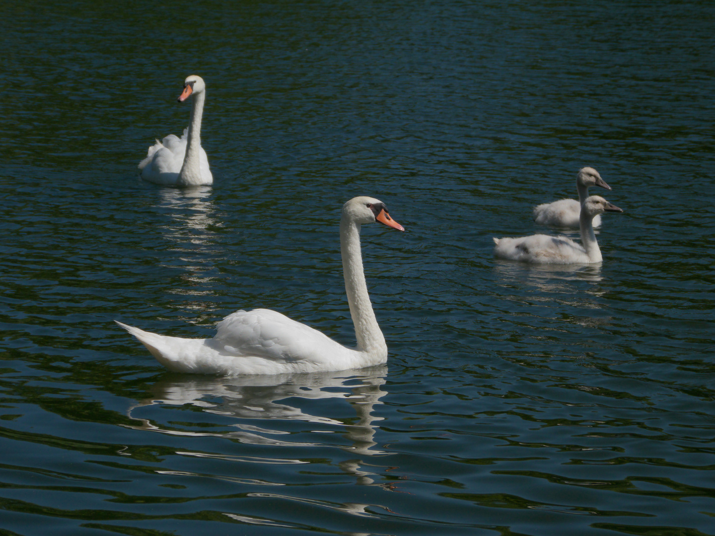 Familienausflug