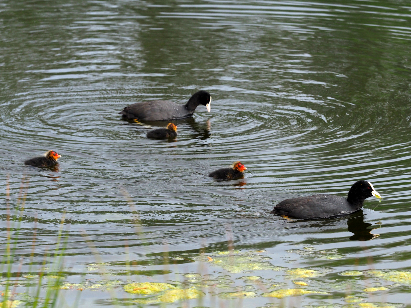 Familienausflug 