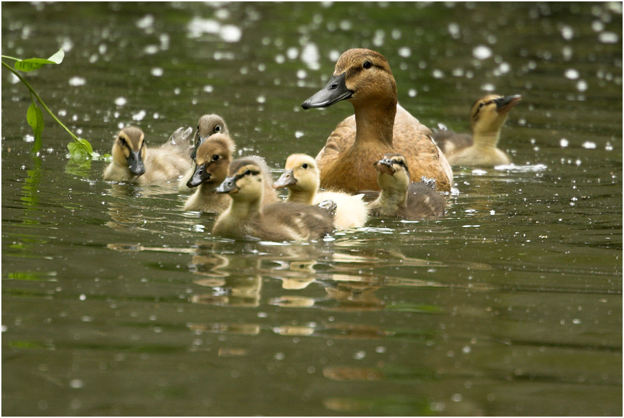 Familienausflug