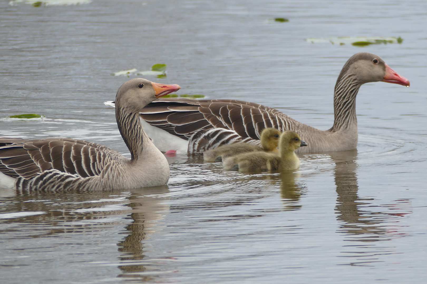 Familienausflug