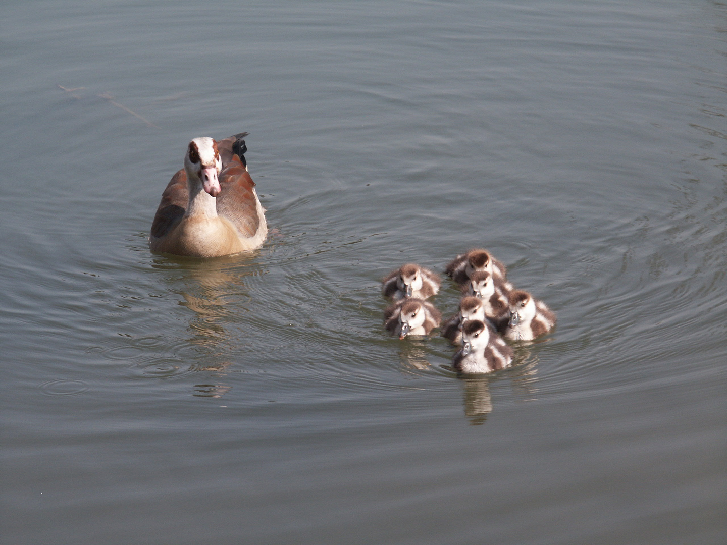 Familienausflug