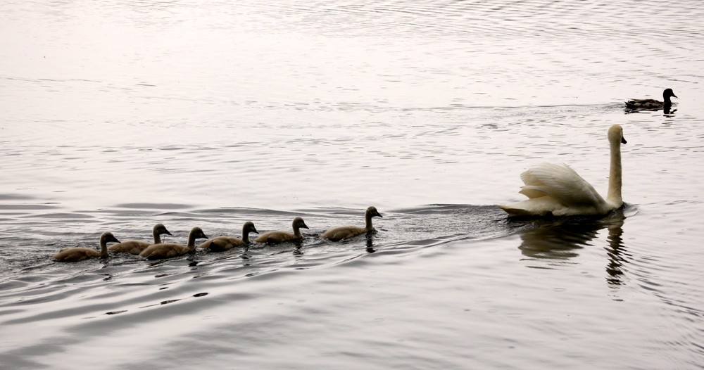 Familienausflug