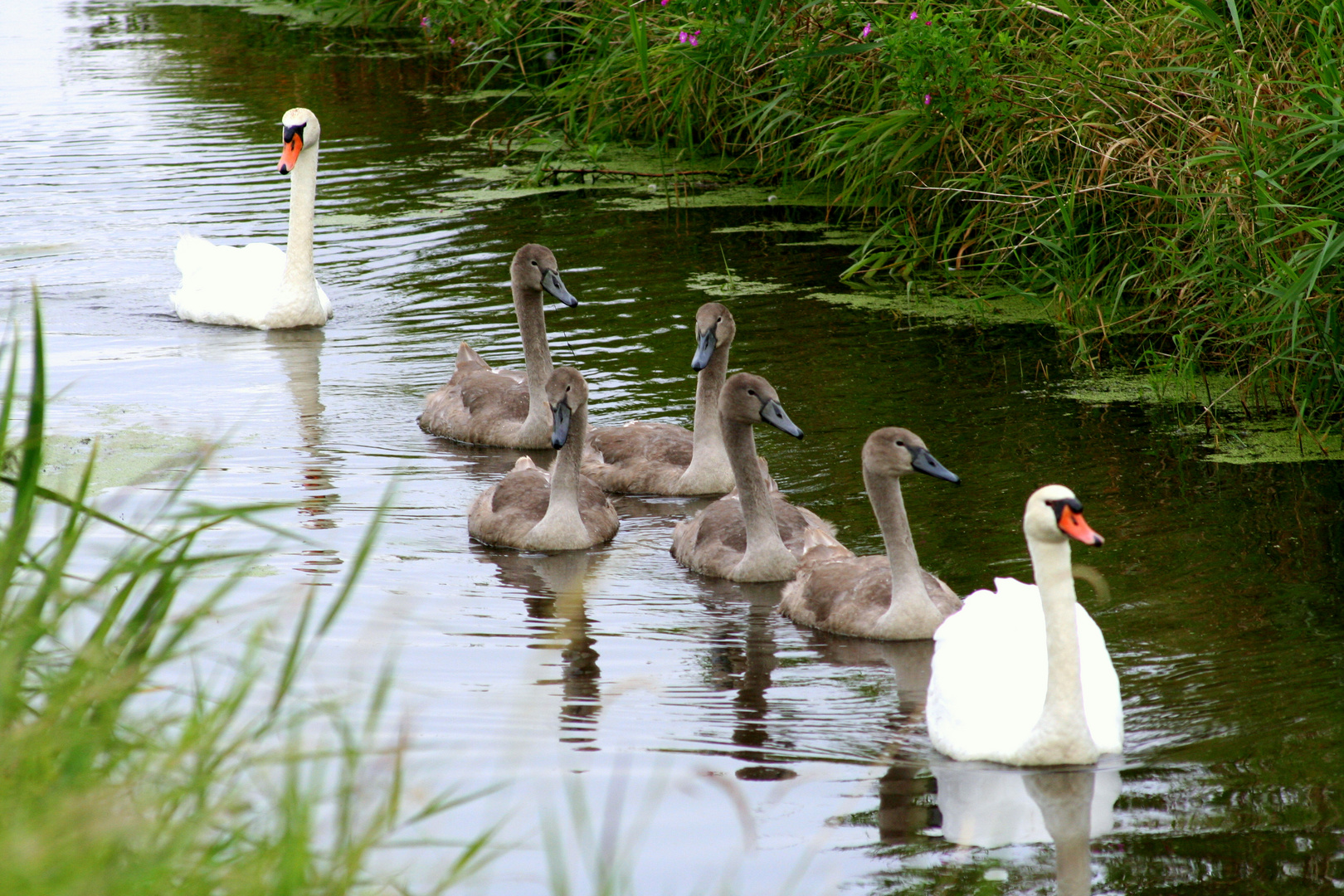 Familienausflug