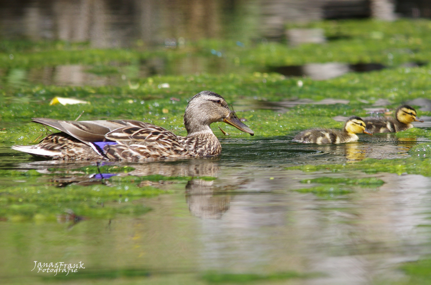 Familienausflug