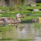 Familienausflug