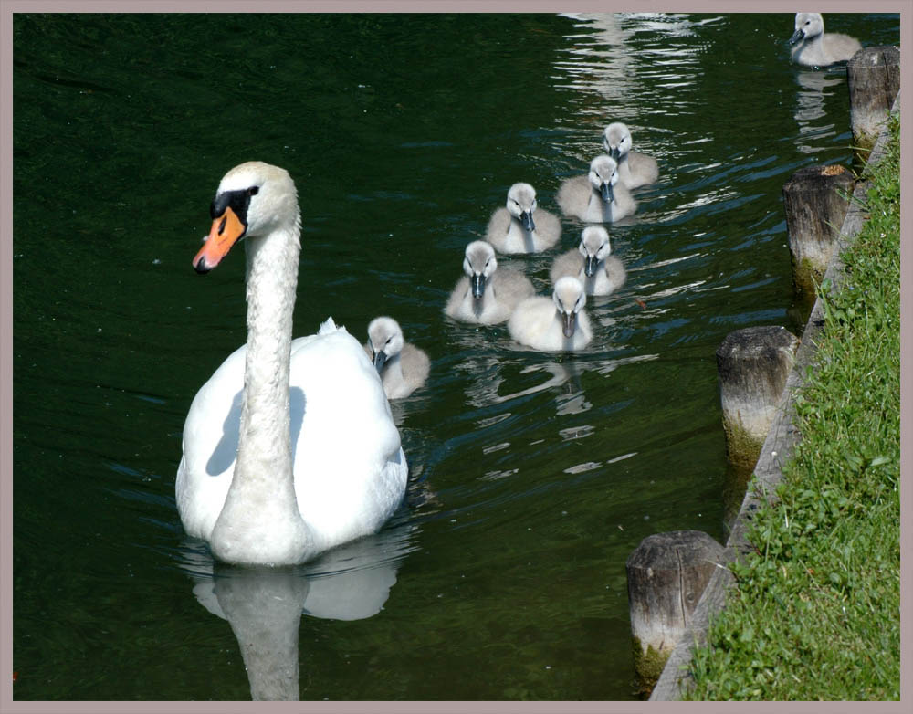 Familienausflug