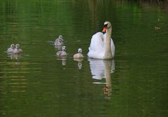 Familienausflug