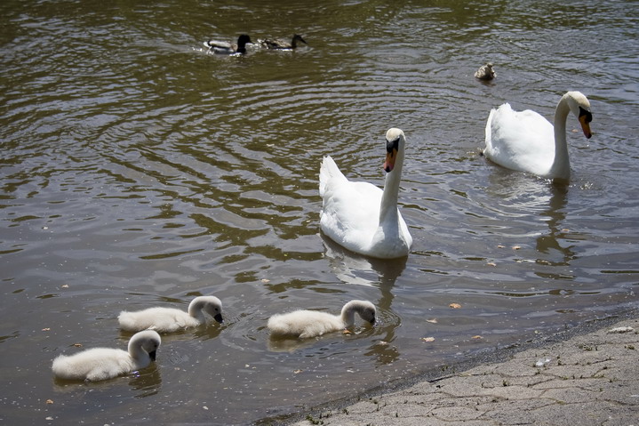 Familienausflug