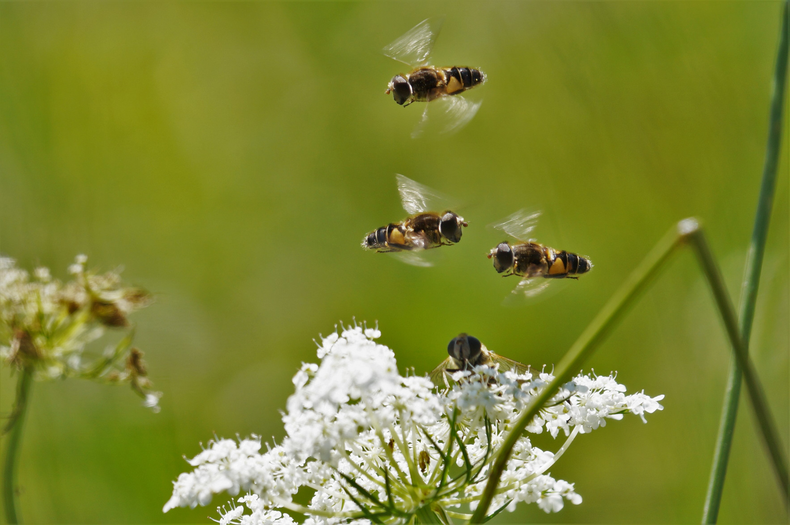 Familienausflug