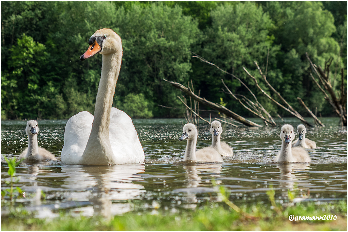 familienausflug.......