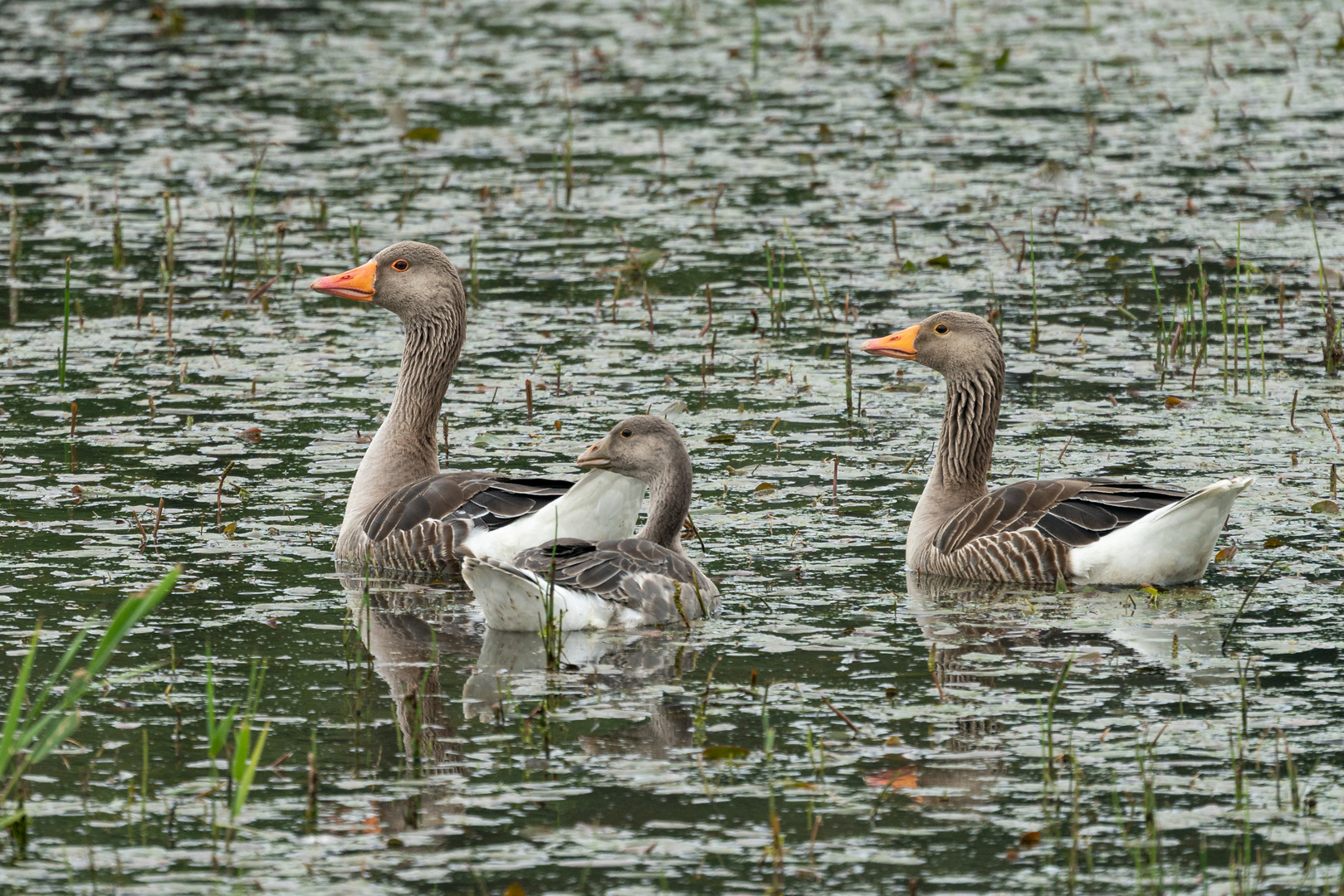 Familienausflug