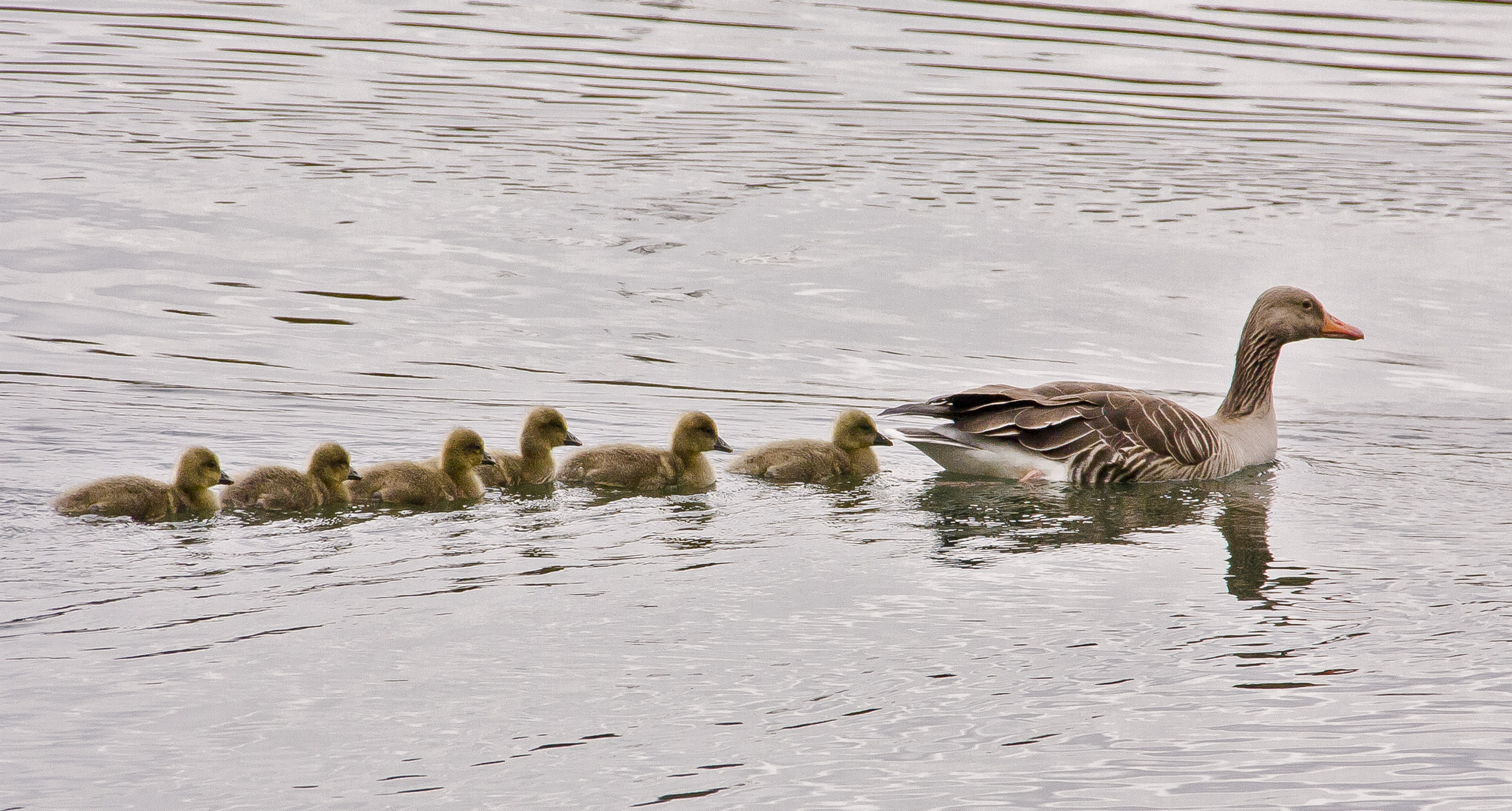 Familienausflug Familienausflug