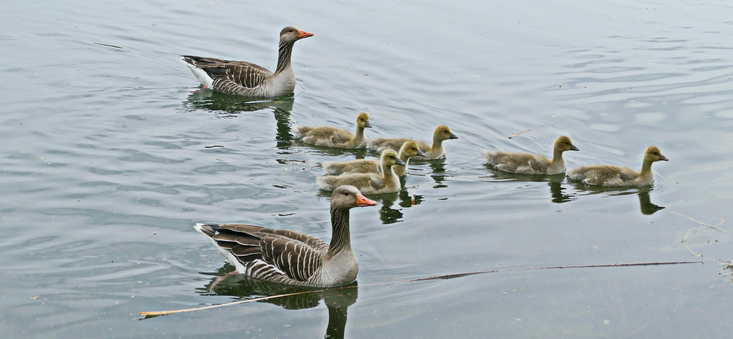  Familienausflug