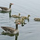  Familienausflug