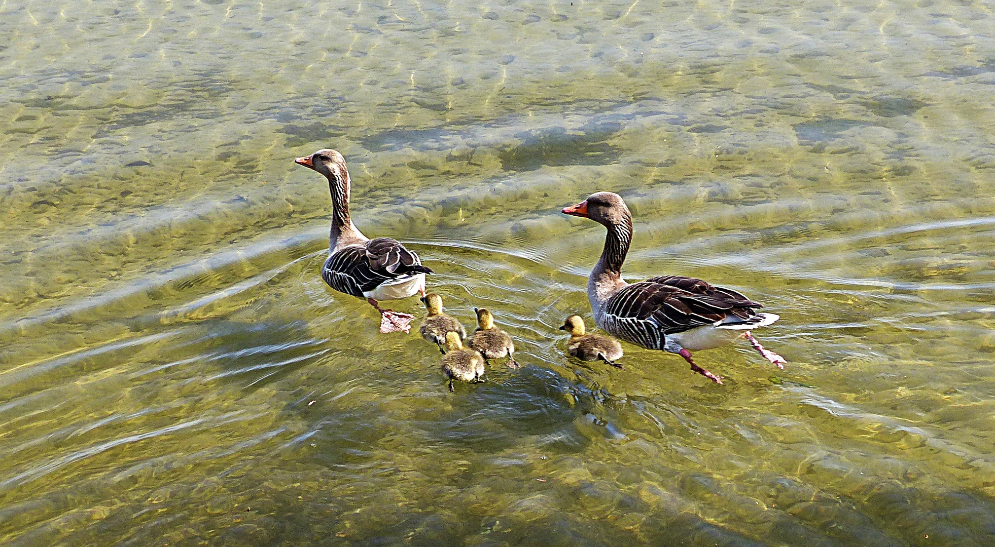 Familienausflug