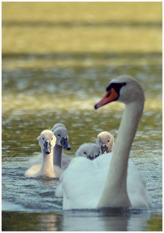 Familienausflug