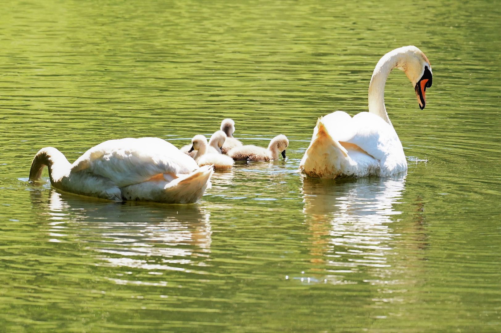 Familienausflug