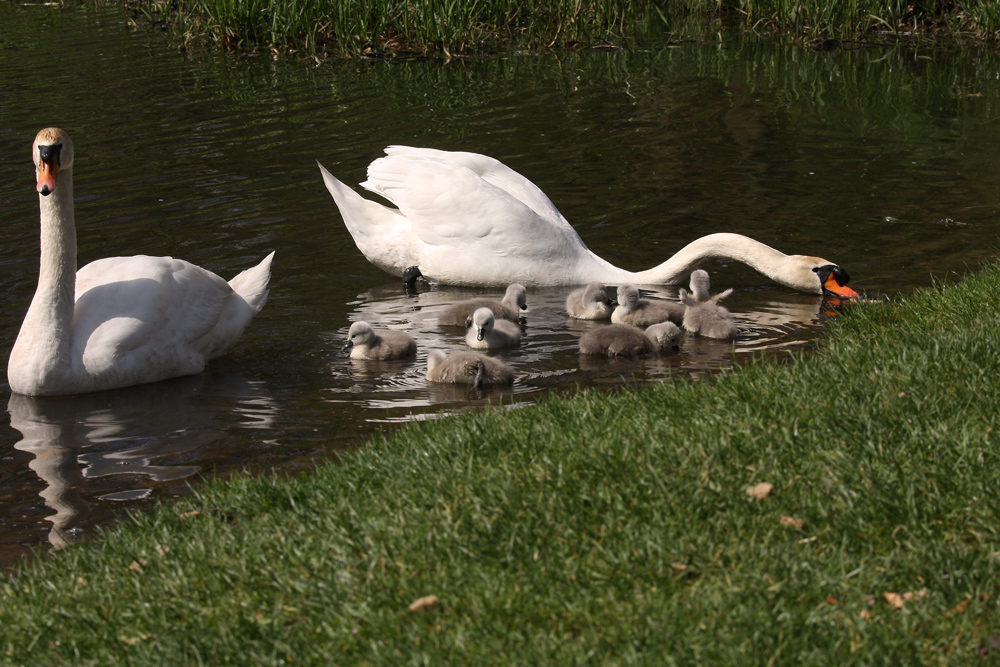 Familienausflug