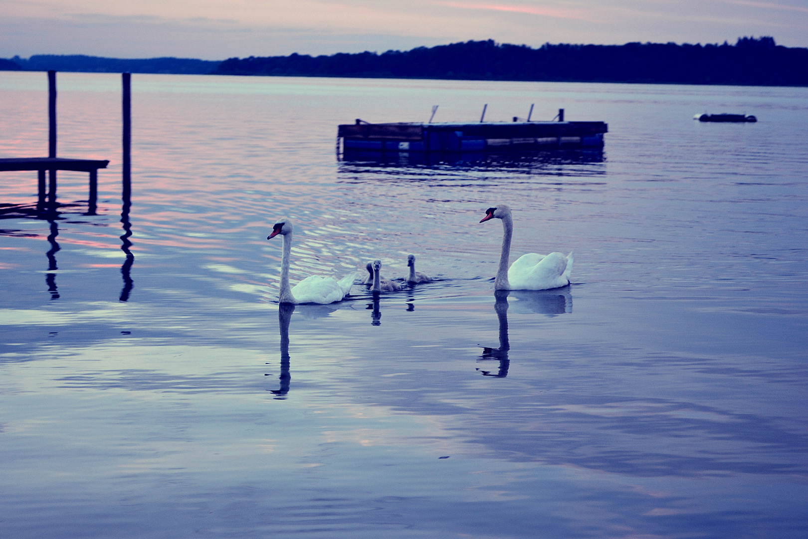 Familienausflug