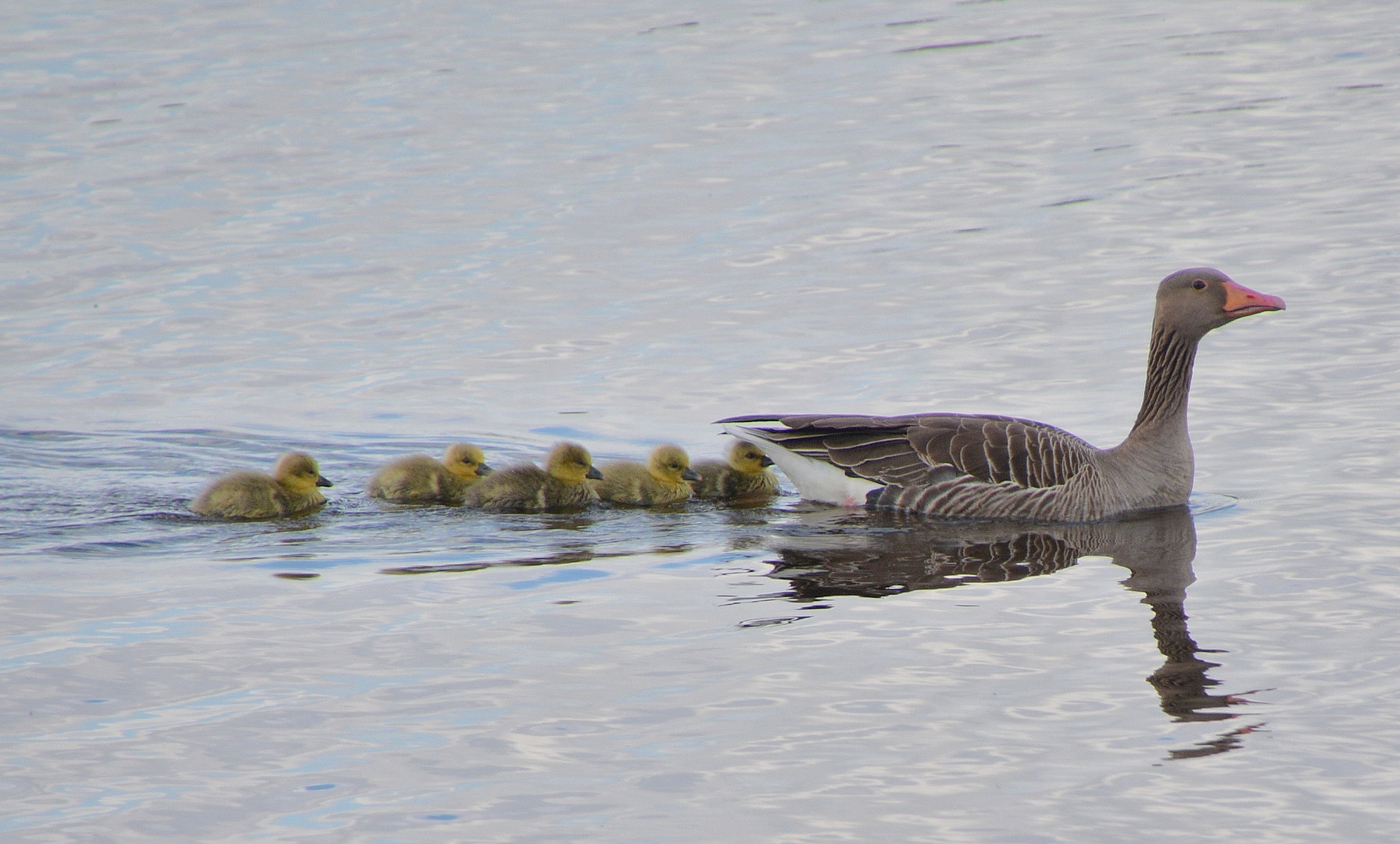 Familienausflug